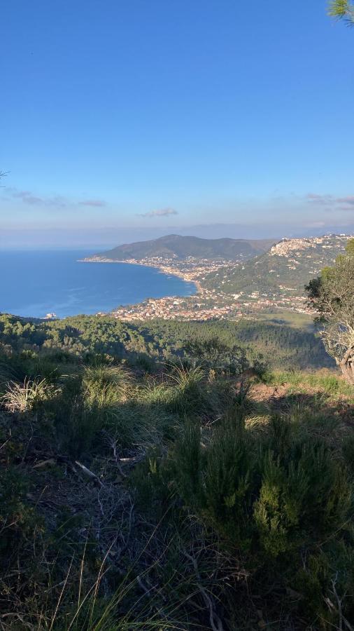 Casa vacanze la tuia Castellabate Esterno foto